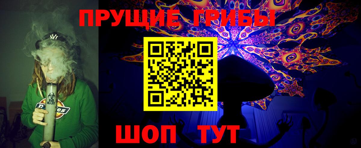 Галлюциногенные грибы Psilocybine cubensis  Псилоцибиновые грибы Psilocybe  Вход с VPN  Арзамас 